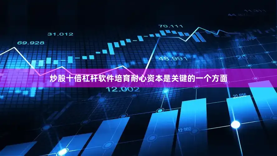 炒股十倍杠杆软件培育耐心资本是关键的一个方面