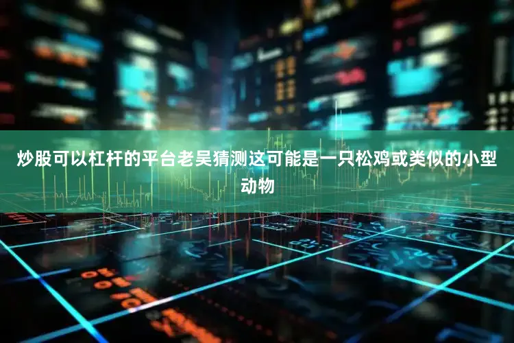 炒股可以杠杆的平台老吴猜测这可能是一只松鸡或类似的小型动物